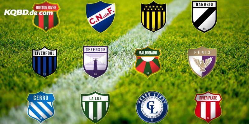 Các giải đấu lớn trong bóng đá Argentina và cập nhật kết quả